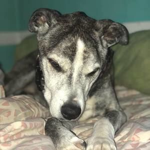 Meet your Posher, Randy